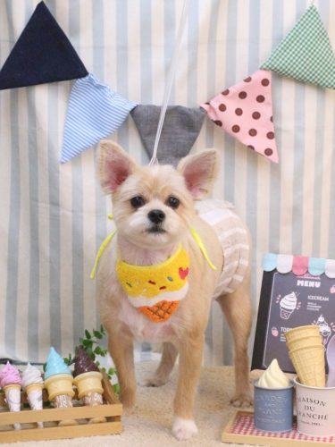 20250520リクくん